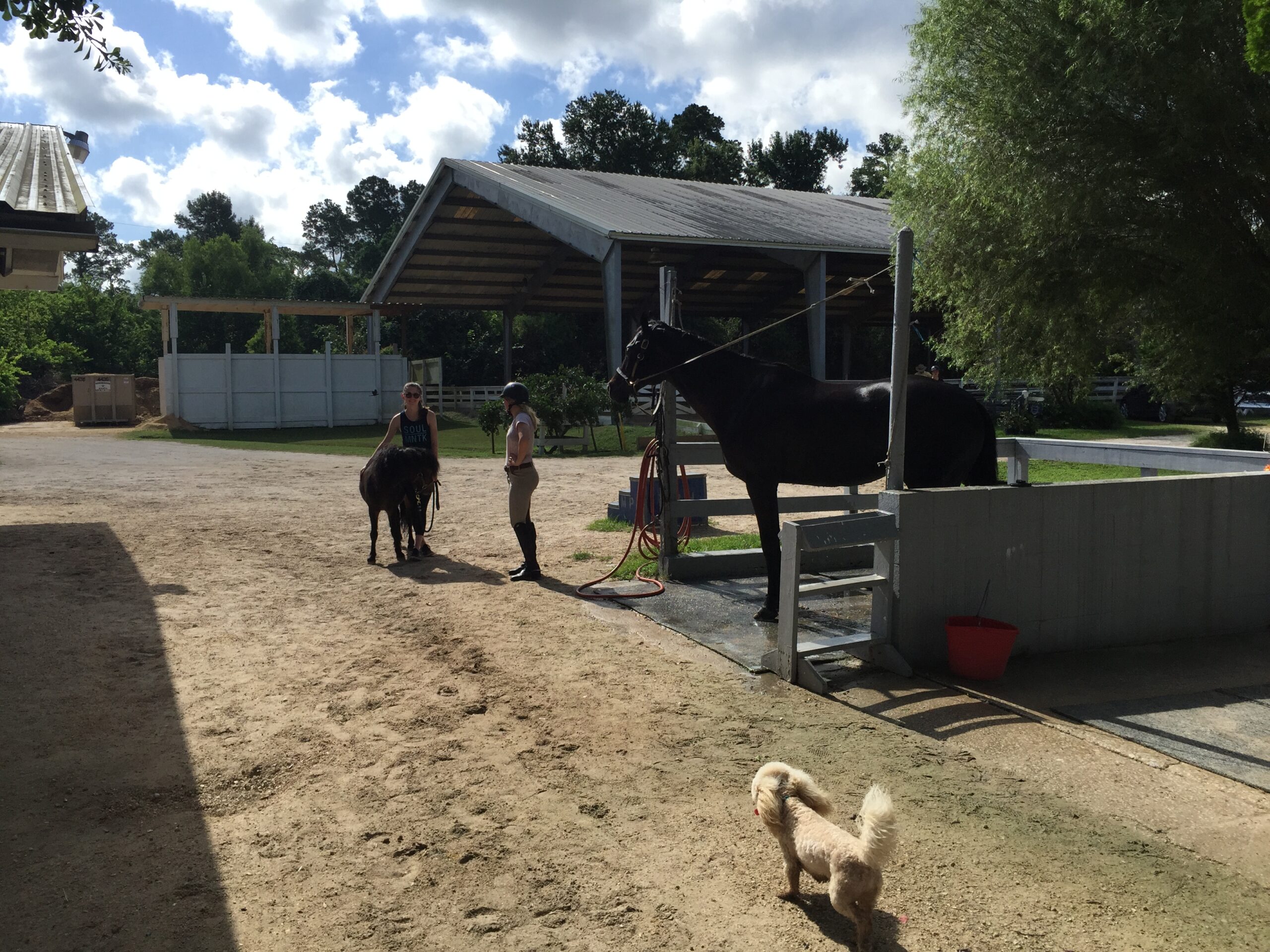 Houston Polo Club