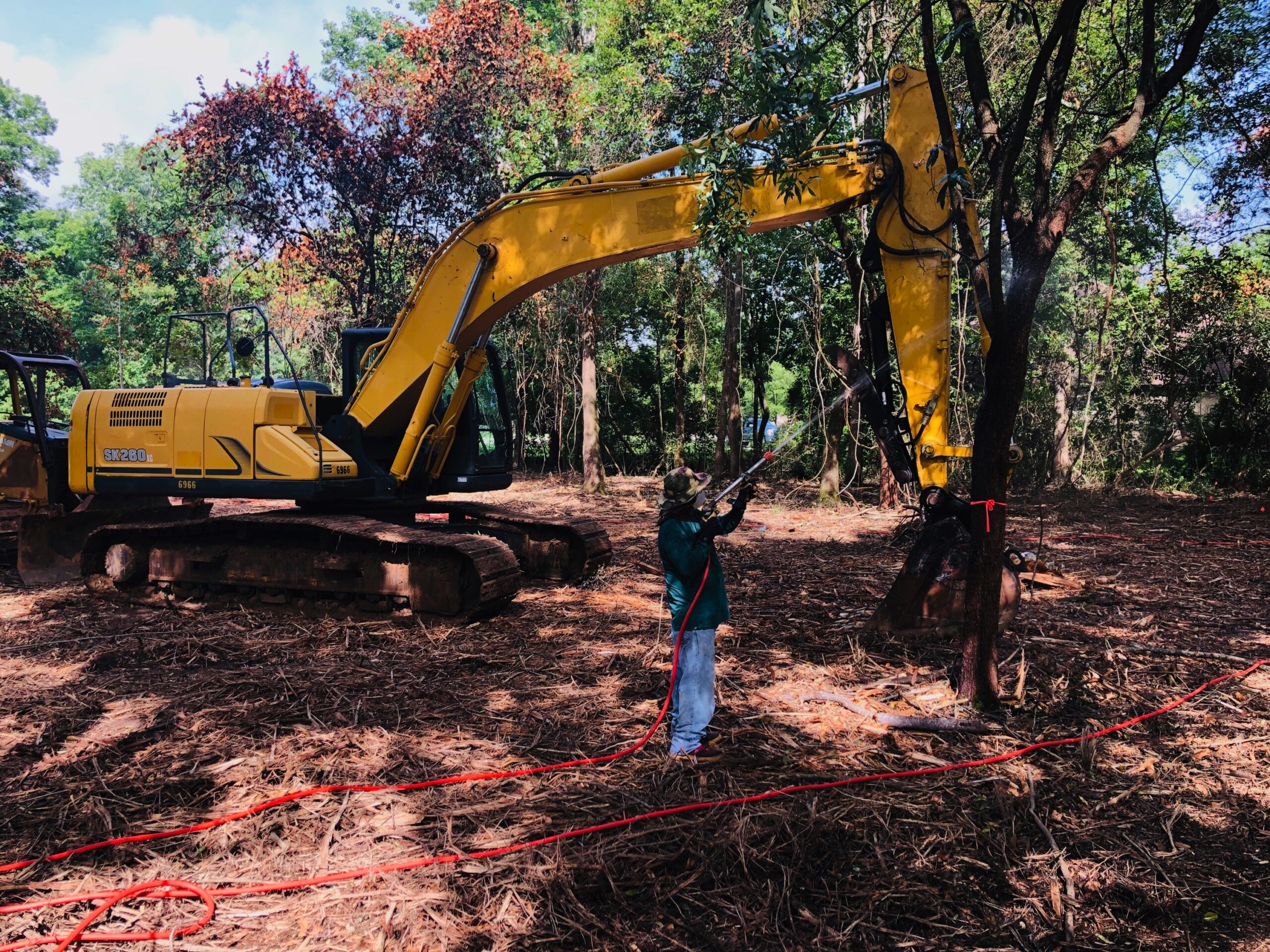 Construction Damaged Trees